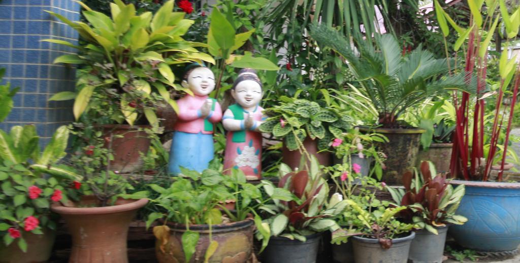 Hotel Pailifornia Ngoại thất bức ảnh